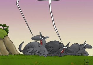 Αρκάς: Η καλημέρα της Τετάρτης