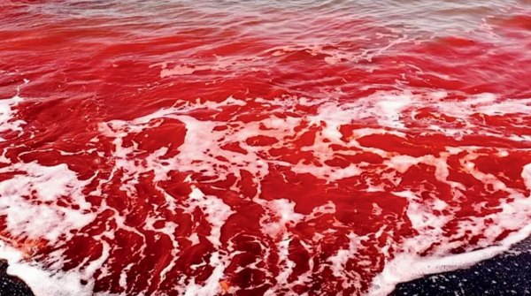 Η βροχή βάφτηκε κόκκινη στο Ορμούζ του Ιράν – Εντυπωσιακές εικόνες [βίντεο]