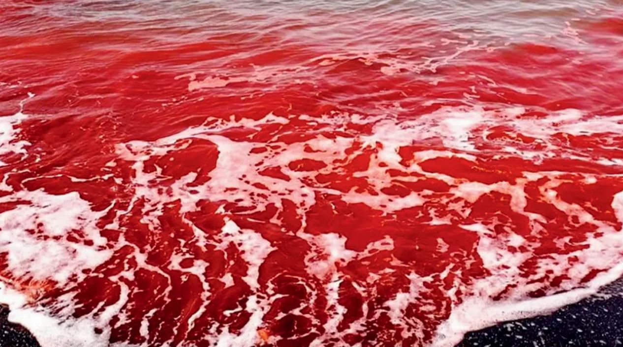 Η βροχή βάφτηκε κόκκινη στο Ορμούζ του Ιράν – Εντυπωσιακές εικόνες [βίντεο]