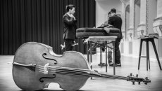 Vienna Chamber Orchestra Orpheus: Η Αθήνα υποδέχεται το νέο έτος με τους ήχους του Γιόχαν Στράους