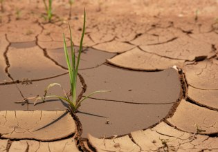 Κρήτη: Στεγνώνει ο κάμπος της Μεσαράς