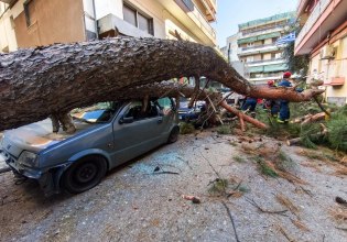 Θεσσαλονίκη: Πτώση μεγάλου δένδρου στη Χαριλάου – Καταπλάκωσε σταθμευμένα αυτοκίνητα