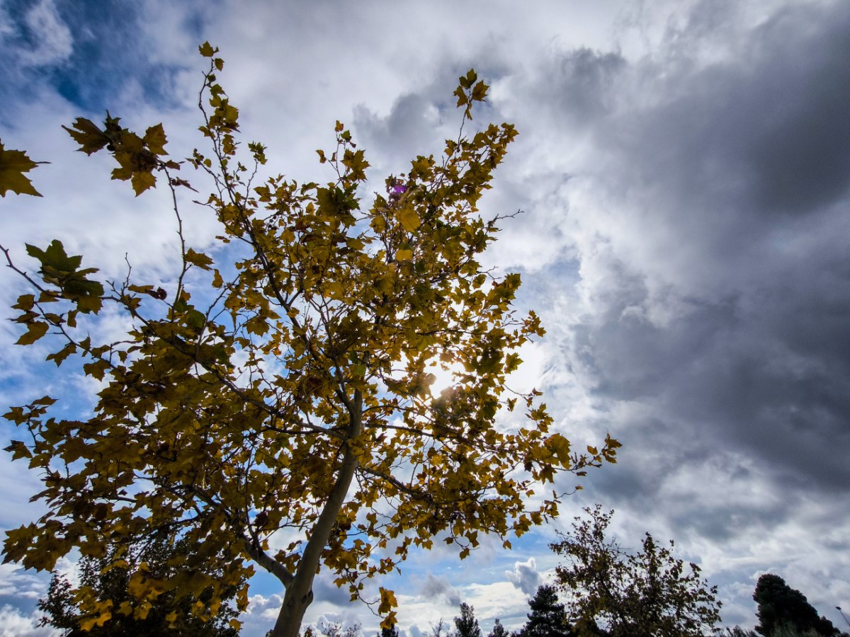 Καιρός: Μικρή πτώση της θερμοκρασίας το Σάββατο και τοπικές βροχές