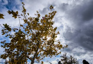 Καιρός: Μικρή πτώση της θερμοκρασίας το Σάββατο και τοπικές βροχές