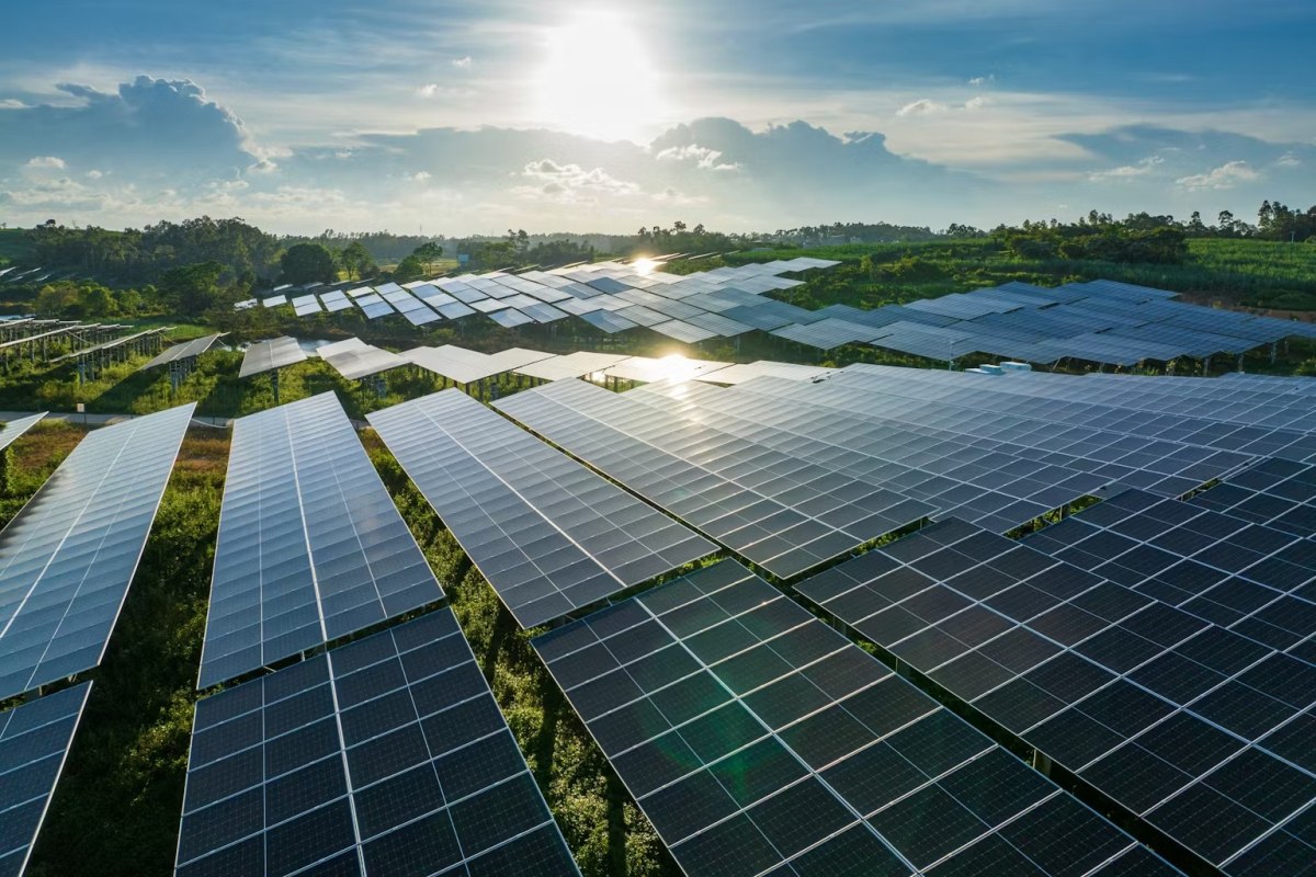 H Επιστήμη το 2025 – Αυτές ήταν οι σημαντικότερες εξελίξεις σύμφωνα με το περιοδικό Science