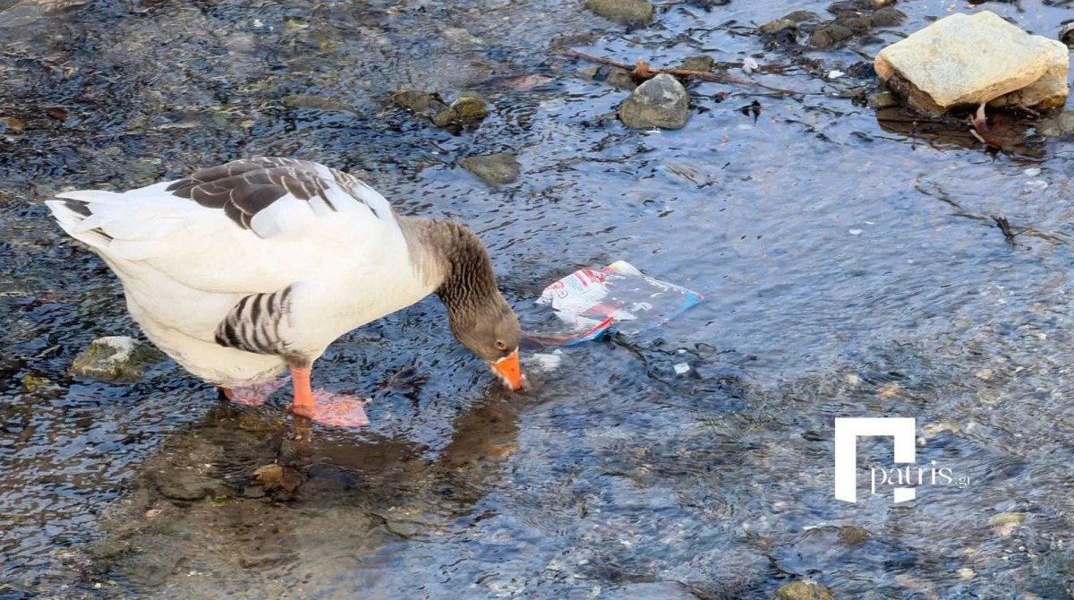 Κρήτη: Στέρεψε ο ποταμός του Φόδελε και αποκάλυψε εικόνες εγκατάλειψης και σκουπιδιών