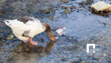 Κρήτη: Στέρεψε ο ποταμός του Φόδελε και αποκάλυψε εικόνες εγκατάλειψης και σκουπιδιών