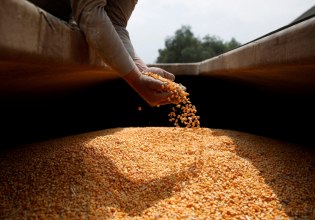 Ευρωπαϊκή Ενωση: Συμφώνησαν για την ανάπτυξη φυτών με βάση τις νέες γονιδιωματικές τεχνικές στη γεωργία