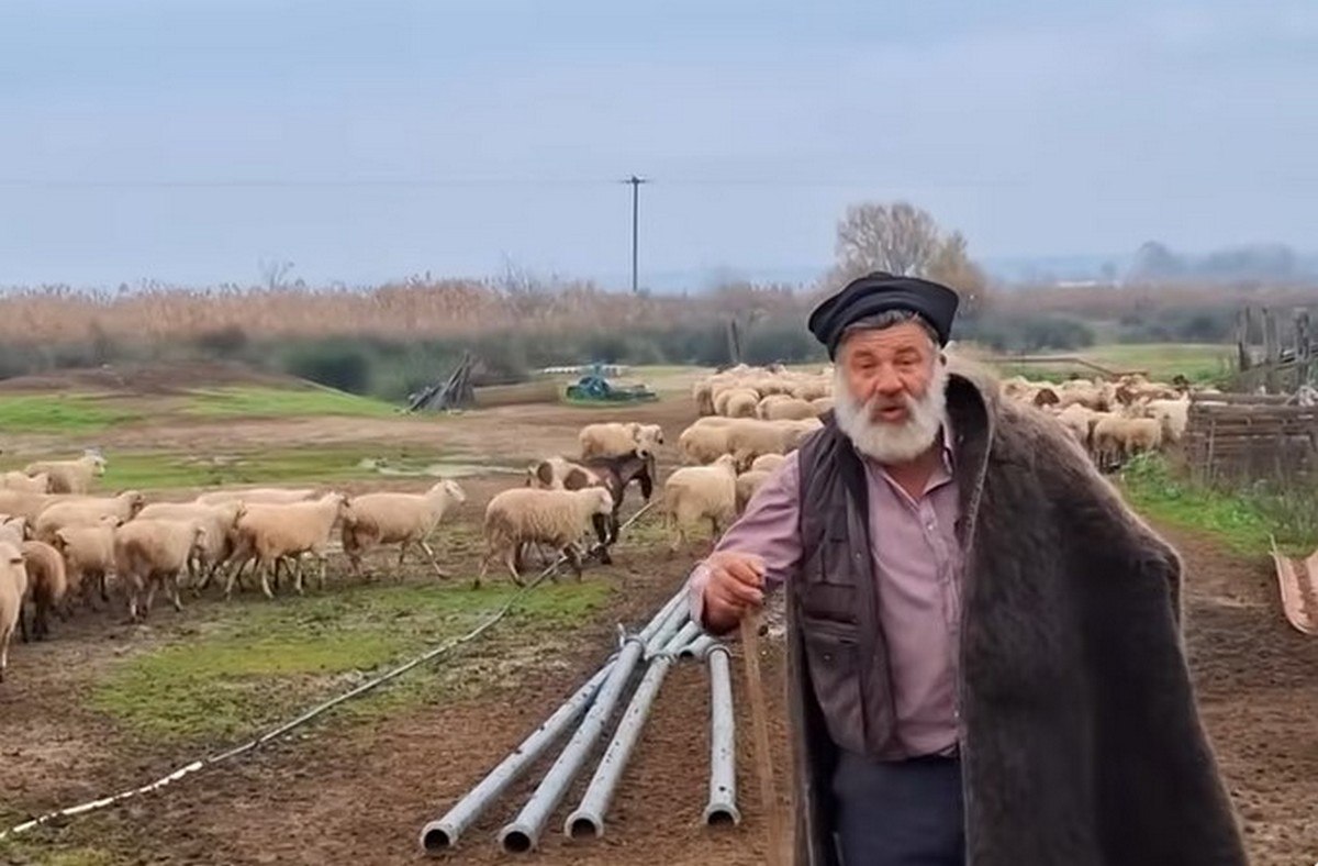 Εξιτήριο πήρε ο κτηνοτρόφος που κατέρρευσε αποχαιρετώντας με δάκρυα τα 450 πρόβατά του