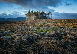 Το άγχος για την κλιματική αλλαγή επηρεάζει την καθημερινότητά μας