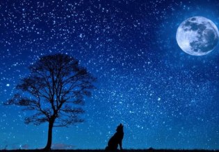 Πρώτη πανσέληνος 2026: Πότε έρχεται το «Φεγγάρι του Λύκου»