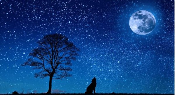 Πρώτη πανσέληνος 2026: Πότε έρχεται το «Φεγγάρι του Λύκου»