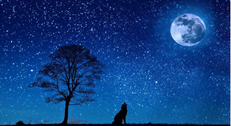 Πρώτη πανσέληνος 2026: Πότε έρχεται το «Φεγγάρι του Λύκου»
