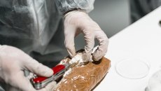 Σκάφος με κοκαΐνη εντοπίστηκε στον Ατλαντικό: Ο «Έλληνας Εσκομπάρ» εγκέφαλος – 5 συλλήψεις