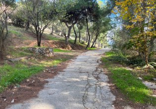 Εφιαλτικό ραντεβού με κοπέλα για 20χρονο – Έπεσε θύμα ληστείας στον λόφο της Φιλοθέης