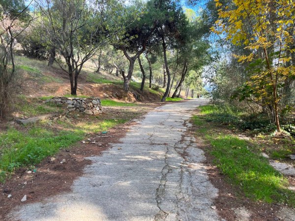 Εφιαλτικό ραντεβού με κοπέλα για 20χρονο – Έπεσε θύμα ληστείας στον λόφο της Φιλοθέης