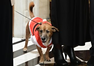 Κάλαντα στο Μάξιμου: Έκλεψε την παράσταση ο Πίνατ ντυμένος Άγιος Βασίλης