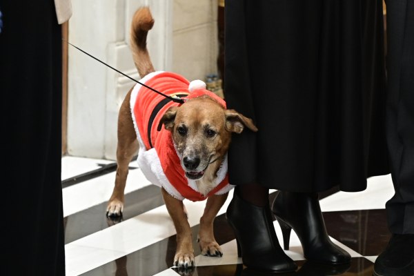 Κάλαντα στο Μάξιμου: Έκλεψε την παράσταση ο Πίνατ ντυμένος Άγιος Βασίλης