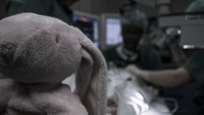 Ζάκυνθος: Συνελήφθησαν οι γονείς του παιδιού που πέθανε μετά την επίθεση σκύλου