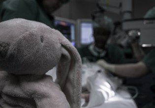 Ζάκυνθος: Συνελήφθησαν οι γονείς του παιδιού που πέθανε μετά την επίθεση σκύλου