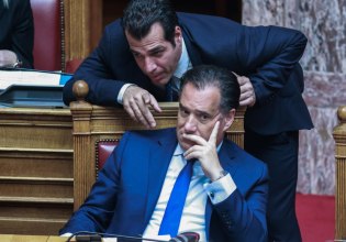 Γεωργιάδης και Πλεύρης «ξαναχτύπησαν»: «Αντιδυτικά και αριστεροκρατούμενα» η Διεθνής Αμνηστία και το Δικαστήριο της Χάγης