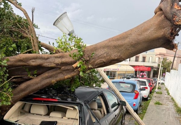 Κακοκαιρία Byron: Θυελλώδεις άνεμοι σφυροκοπούν τη Ρόδο – Έπεσαν δέντρα, έσπασαν κάβοι πλοίου