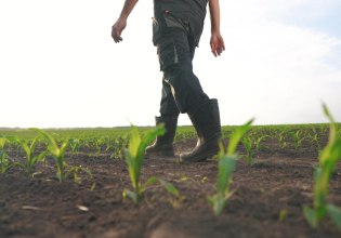 Θέλουμε να έχουμε αγροτική παραγωγή;