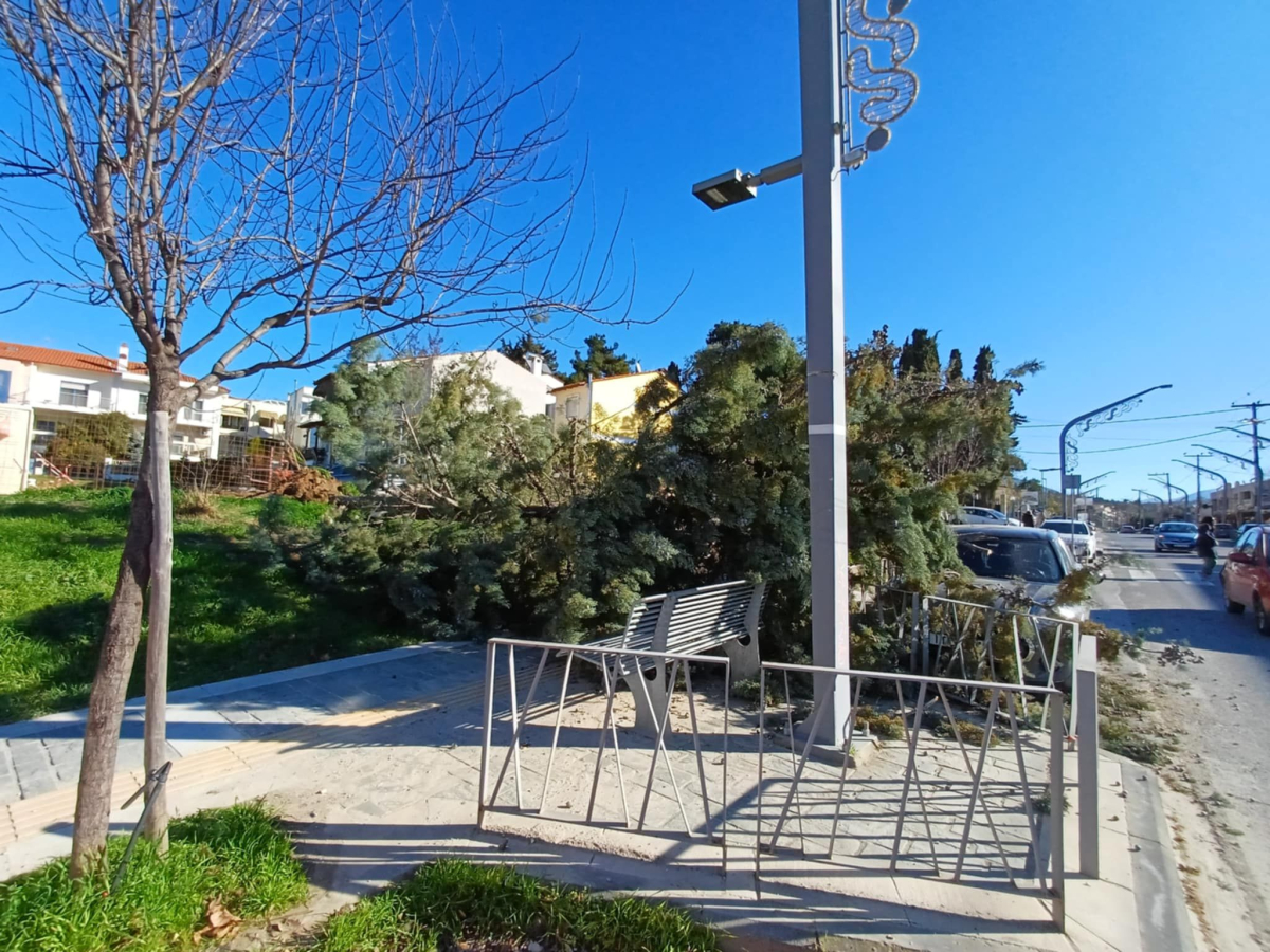 Θεσσαλονίκη: Σαρώνουν οι θυελλώδεις άνεμοι – Έπεσαν δεκάδες δέντρα