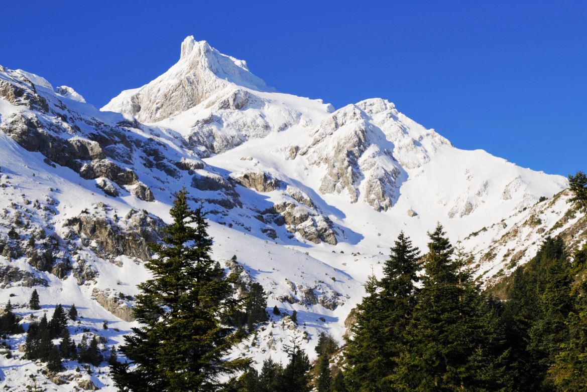Βαρδούσια: Από ασφυξία ο θάνατος των τεσσάρων ορειβατών