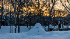 Πώς ο χιονάνθρωπος έγινε είδος υπο εξαφάνιση