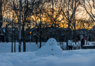 Πώς ο χιονάνθρωπος έγινε είδος υπο εξαφάνιση