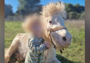 Ζάκυνθος: «Ήταν ό,τι πολυτιμότερο είχα στη ζωή μου» – Συγκλονίζουν οι γονείς του μικρού Λίο που κατασπάραξε το pitbull