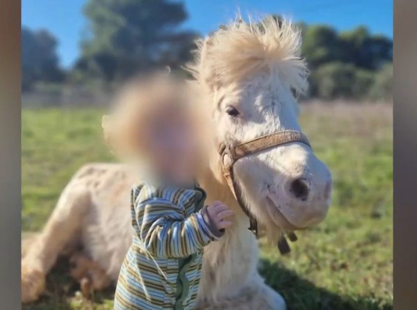 Ζάκυνθος: «Ήταν ό,τι πολυτιμότερο είχα στη ζωή μου» – Συγκλονίζουν οι γονείς του μικρού Λίο που κατασπάραξε το pitbull