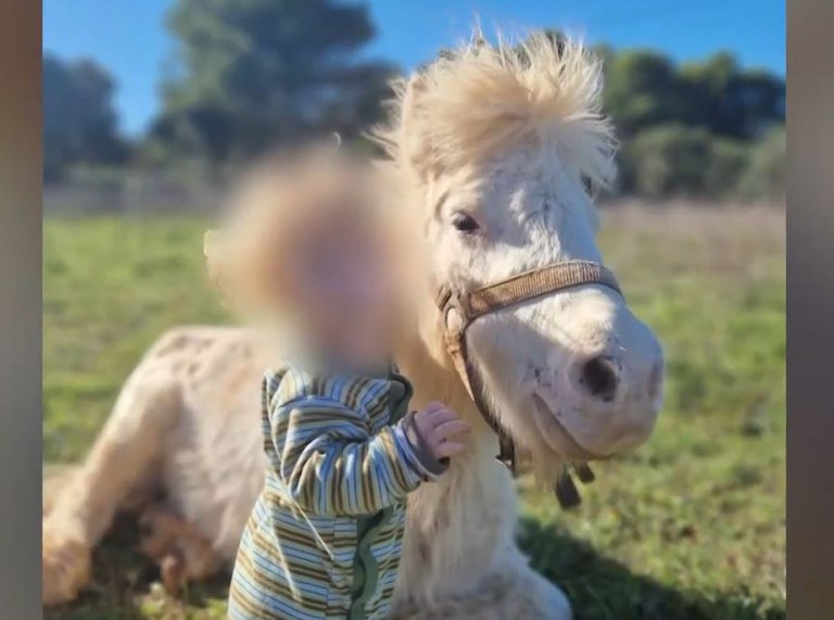 Ζάκυνθος: «Ήταν ό,τι πολυτιμότερο είχα στη ζωή μου» – Συγκλονίζουν οι γονείς του μικρού Λίο που κατασπάραξε το pitbull