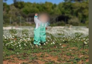 Πίτμπουλ της οικογένειας κατασπάραξε αγοράκι 2 ετών στην Ζάκυνθο στην αυλή του σπιτιού του