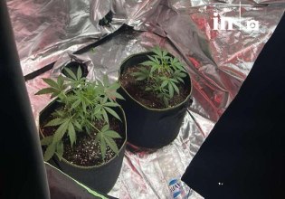 Ρόδος: Μεγάλη αστυνομική επιχείρηση για την εξάρθρωση κυκλώματος που καλλιεργούσε και διακινούσε κάνναβη – 4 συλλήψεις