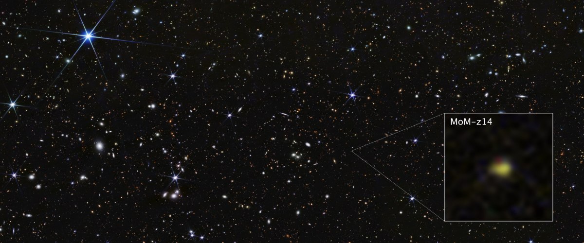 Το James Webb είναι το μόνο τηλεσκόπιο που μπορεί να διακρίνει τόσο μακρινούς γαλαξίες όσο ο MoM-z14 (NASA, ESA, CSA, STScI, Rohan Naidu (MIT); Image Processing: Joseph DePasquale (STScI)