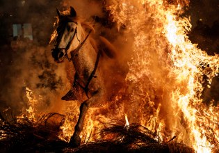 Επέστρεψε το ισπανικό έθιμο Las Luminarias: Άλογα πηδούν μέσα απ’ φλόγες και κατοικίδια πηγαίνουν εκκλησία