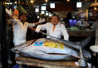 Ο Tuna King ξαναχτυπά: Γαλαζόπτερος τόνος 243 κιλών δημοπρατήθηκε για 2.790.000 ευρώ