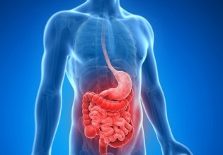 Νόσος του Crohn: Πώς μια απλή εξέταση αίματος μπορεί να την προβλέψει χρόνια πριν την εμφάνιση των συμπτωμάτων