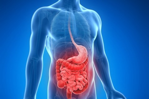 Νόσος του Crohn: Πώς μια απλή εξέταση αίματος μπορεί να την προβλέψει χρόνια πριν την εμφάνιση των συμπτωμάτων