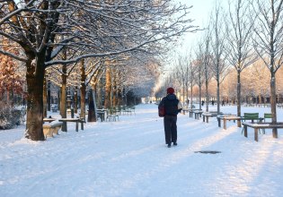 Παρίσι: Κάνουν σκι στη… Μονμάρτη μετά τα χιόνια (video)