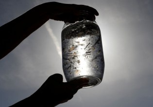 «Βόμβα» για τα μικροπλαστικά: Αμφιβολίες για την ανακάλυψή τους στο ανθρώπινο σώμα – Μελέτη λέει ότι πρόκειται για «αστειότητα»