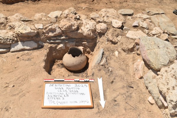 Πάρος: Τι έφερε στο φως η ανασκαφή στο Δεσποτικό – Τσιμηντήρι