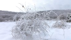 Καιρός: Περαιτέρω επιδείνωση ενόψει, με καταιγίδες και πυκνά χιόνια – Το εντυπωσιακό και παράδοξο φαινόμενο