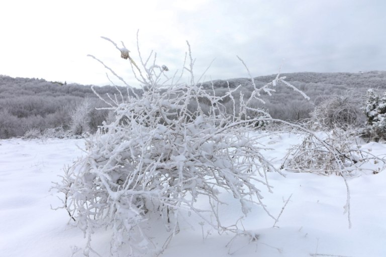 Καιρός: Περαιτέρω επιδείνωση ενόψει, με καταιγίδες και πυκνά χιόνια – Το εντυπωσιακό και παράδοξο φαινόμενο