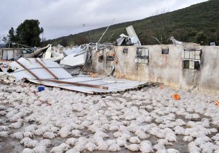 Κακοκαιρία: Ανεμοστρόβιλος ισοπέδωσε πτηνοτροφική μονάδα στην Ήπειρο – Χάθηκαν 40.000 κοτόπουλα