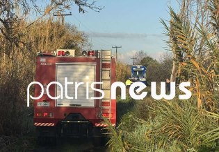 Δέντρο έπεσε πάνω σε τρένο που εκτελούσε το δρομολόγιο Πύργος – Κατάκολο – Στο νοσοκομείο ο μηχανοδηγός