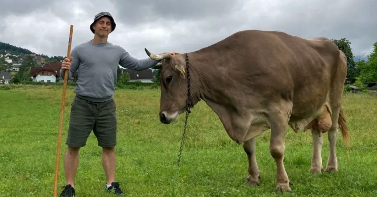 H Βερόνικα δέχεται ένα χάδι από τον Αντόνιο Οσούνα-Μασκάρο, έναν από τους δύο ερευνητές της μελέτης (Antonio J. Osuna-Mascaró)