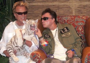 Siegfried & Roy – Αγάπησαν τις λευκές τίγρεις, έκαναν σόου μαζί τους στο Λας Βέγκας, τους δάγκωσαν, άλλαξαν όλα
